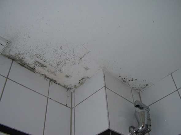 Гидроизоляция потолка в ванной